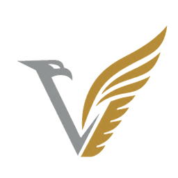 Virtus Solutions Group