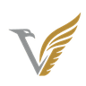 Virtus Solutions Group